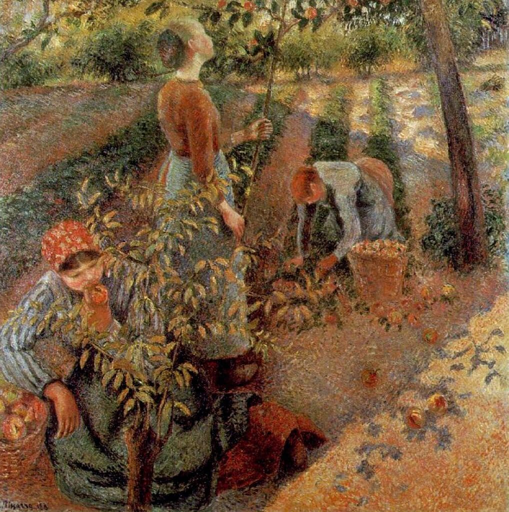 The Apple Pickers - Pissarro painting